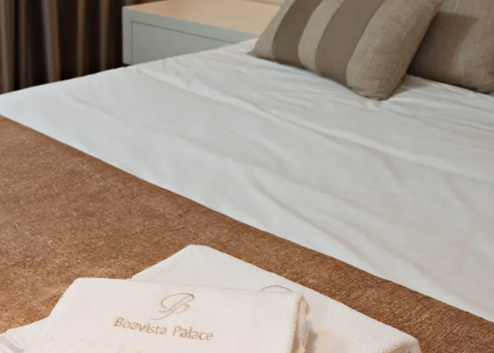 Serviced Boavista Palace Oporto